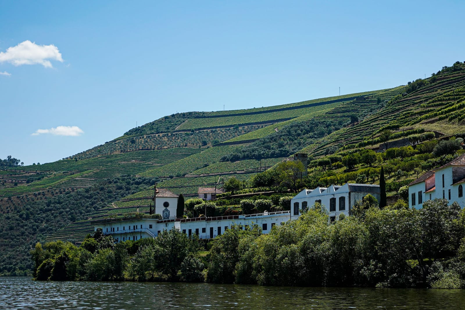 Quinta aux bâtiments blancs au bord du fleuve Douro, dominée par des vignes en terrasses au Portugal